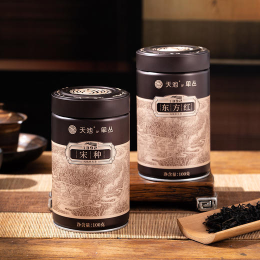 天池 凤凰单丛 八大名枞 宋种 东方红 通天香 夜来香 拓富 罐装 100g 商品图4