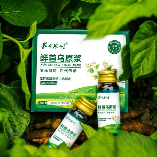 12盒减280元【鲜首乌原浆】非遗工坊 古法技艺 四代传承 精选5头鲜滨海白首乌 草本萃取(30ml*6瓶)/盒AA 商品图2