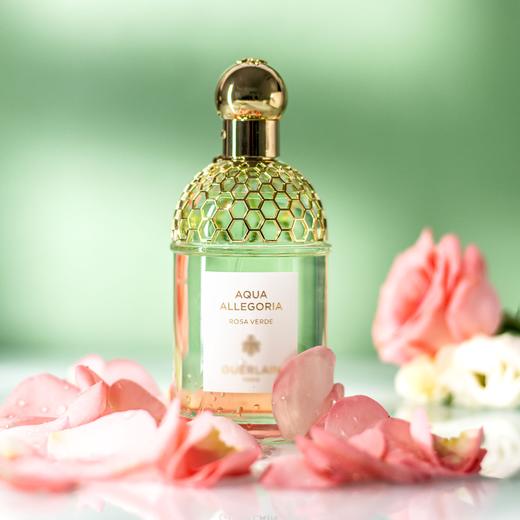 25年新香！花草水语-沁绿玫瑰  Aqua Allegoria Rosa Verde 分装 商品图2