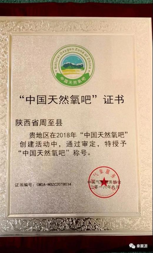 猕猴桃之都--陕西周至【25年头茬-特甜翠香猕猴桃】公认的“VC冠中之冠” ❗️产于天然氧吧 | 种植15年以上周至农户直供🛫不是所有翠香都叫特甜翠香 商品图5