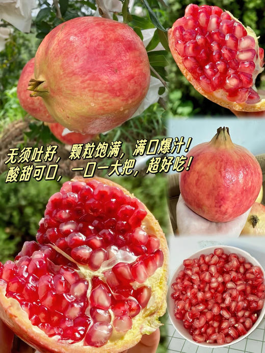 德福源软籽石榴礼盒 商品图2