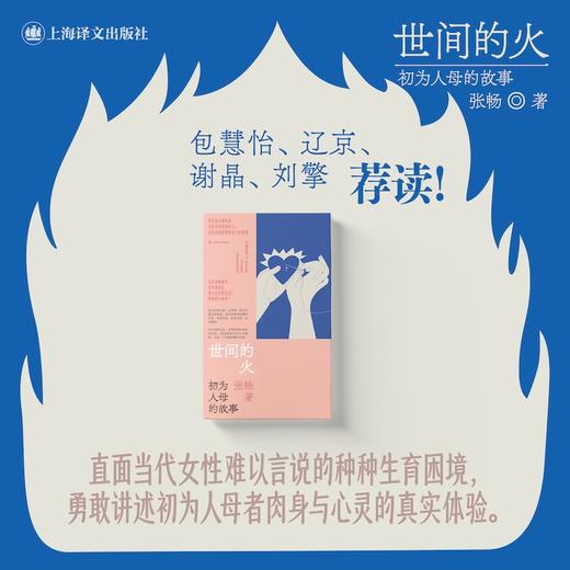 世间的火:初为人母的故事 商品图1