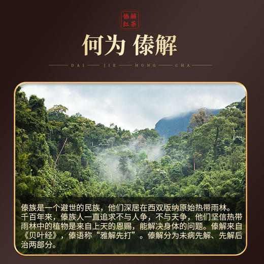 傣解茶传承2500年傣医药养生文化 商品图1