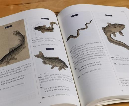 《补遗雷公炮制便览》，16开函套装，全2册，彩色印刷，[明]佚名宫廷画师绘，郑金生考校，上海辞书2022年8月版，定价880，售价488元。 商品图13