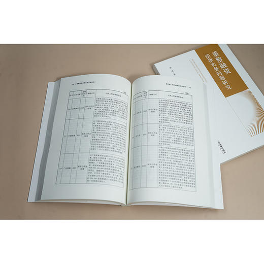 重整融资法律实务问题研究 孙建著 法律出版社 商品图3