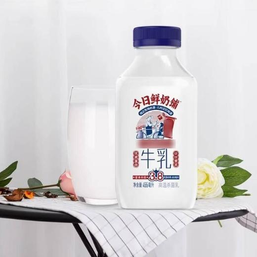 新希望 今日鲜奶铺3.8g蛋白质浓牛乳高温杀菌乳 455ml/瓶 商品图3