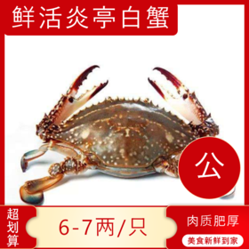 【海鲜】鲜活炎亭膏蟹 约7-8两/只