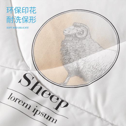 洁玉 澳洲羊毛被200*230cm 颜色随机 商品图3