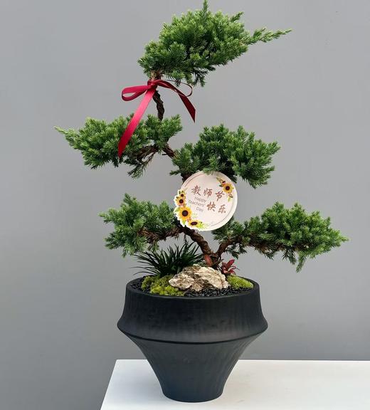 步步高升五层松塔 商品图3