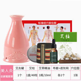 真艾堂艾灸罐陶瓷刮痧杯艾灸盒随身灸家用熏蒸仪棋宫韩温灸美容院 美人灸全家福套装