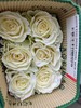 厄瓜多尔进口White Velvet白色天鹅绒玫瑰10支 商品缩略图5
