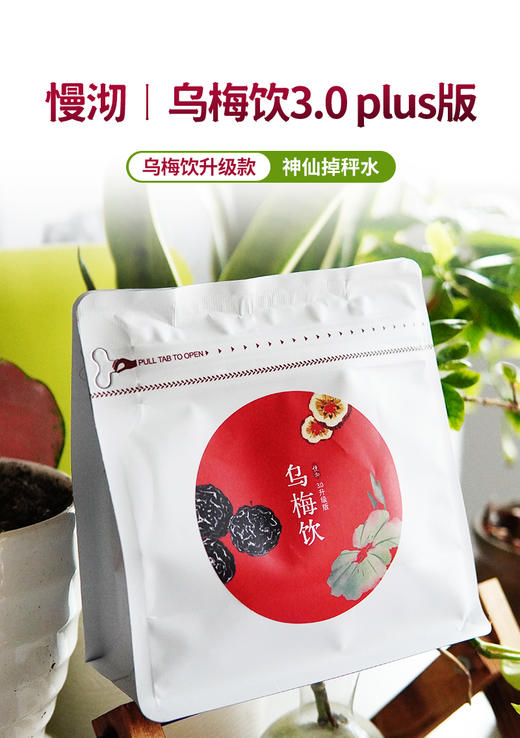 乌梅饮 120g/袋  每袋7包 商品图0