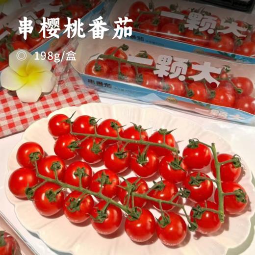 串樱桃番茄 | 优选品种 现摘现发 连枝带叶 成串更新鲜 番茄味鲜明 汁水饱满 低GI高维C 商品图0