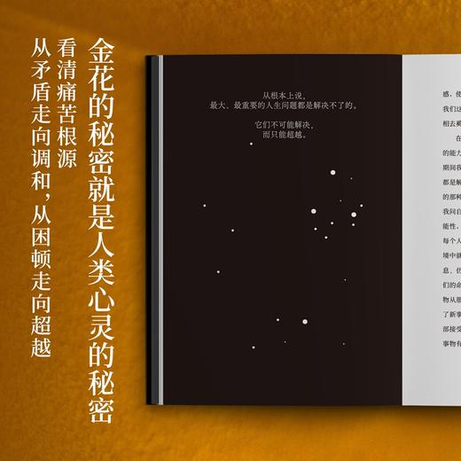 金花的秘密 商品图4