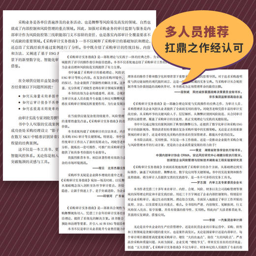 采购审计实务指南 商品图3