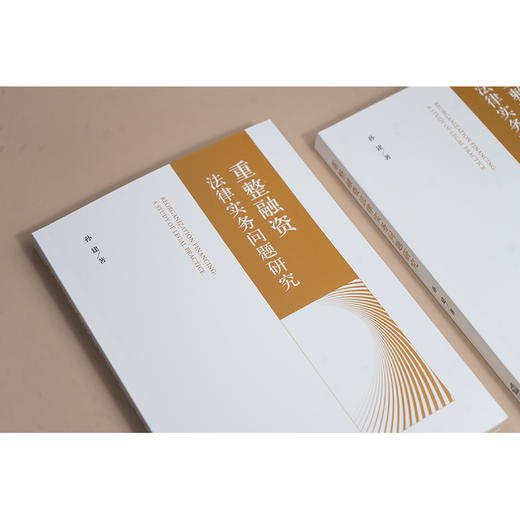 重整融资法律实务问题研究 孙建著 法律出版社 商品图2