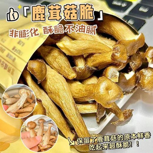酥脆不油腻！零食新宠【椒盐鹿茸菇脆】非油炸膨化 0防腐剂🍄满满的都是大自然的味道 商品图5
