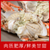 【海鲜】鲜活炎亭膏蟹 约7-8两/只 商品缩略图1