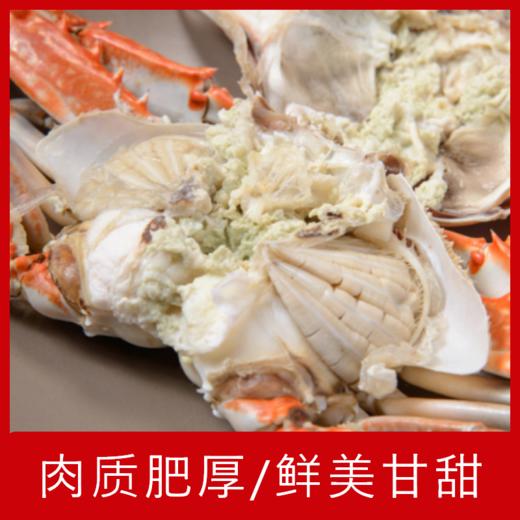 【海鲜】鲜活炎亭膏蟹 约7-8两/只 商品图1