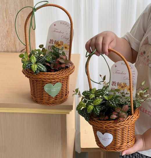 手提蓝盆栽 商品图0