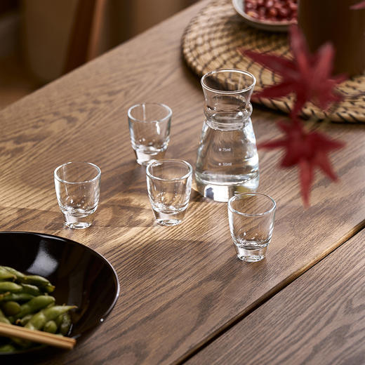 IKEA 宜家 HUMLAFISK 哈姆拉菲斯 玻璃酒瓶 透明玻璃 14 厘升 商品图4