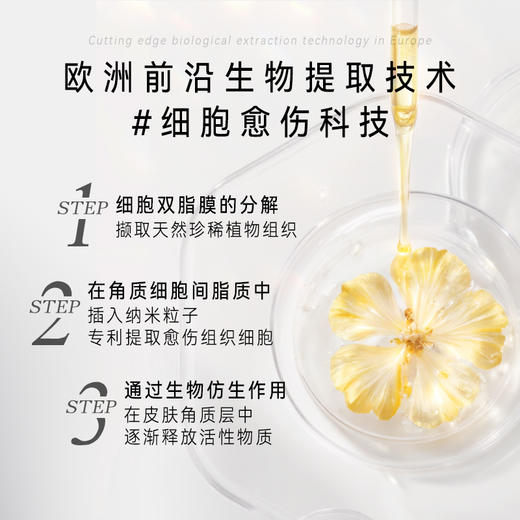 【顺丰包邮】Pureality菩拉丽缇蕴能光璨精华液--双阶粉瓷瓶 50ml 商品图3