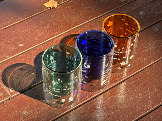 华中大双层防烫玻璃杯 商品图0