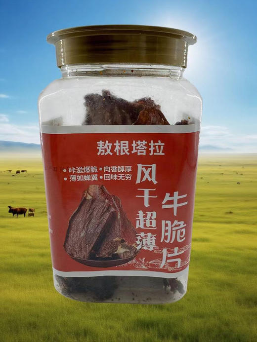 牛肉干新品上架！【敖根塔拉】风干超薄牛脆片 100g/桶  来自科尔沁草原上的牛肉干 咔滋爆脆 肉香醇厚 波如蝉翼 回味无穷 商品图2