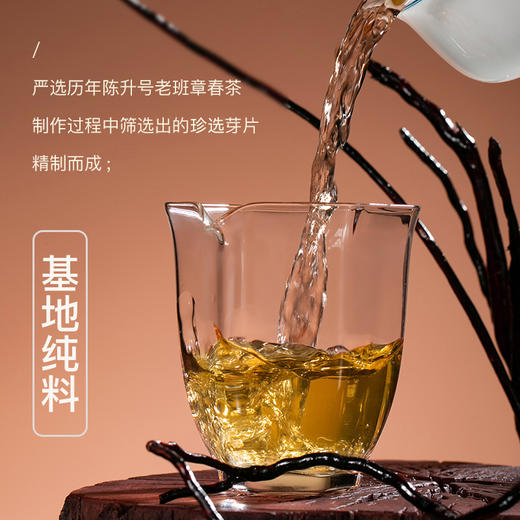 陈升号 2020年金箔老班章砖茶200g（生茶） 商品图3