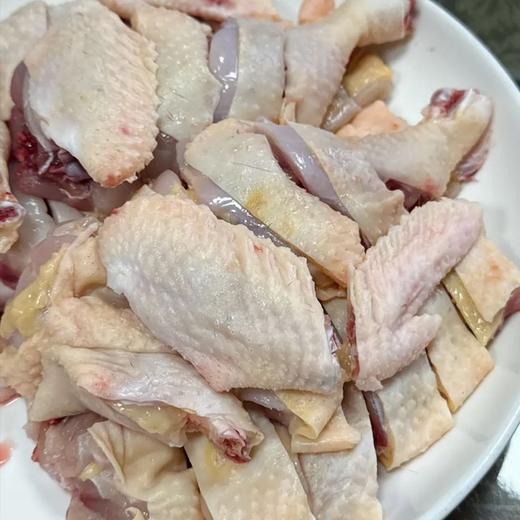 天农原种供港「清远鸡」， 清远鸡保种单位，鸡有鸡味，白水煮都巨鲜【G】 商品图3