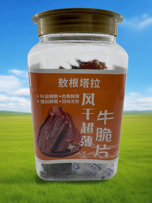 牛肉干新品上架！【敖根塔拉】风干超薄牛脆片 100g/桶  来自科尔沁草原上的牛肉干 咔滋爆脆 肉香醇厚 波如蝉翼 回味无穷 商品图1