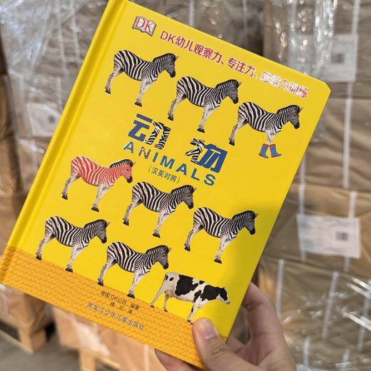 （亲子共读）DK绝版大清仓！！售完即止，不再加印！有库存的就赶紧拍！ 商品图5