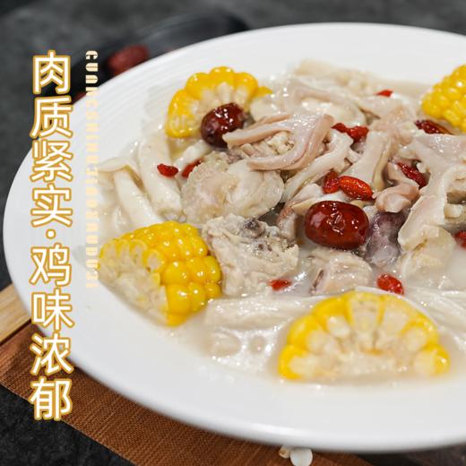 【顺丰/京东冷链】广式胡椒猪肚鸡700g*3盒 供港企业湾区金标认证 正宗清远鸡 地标好物 - 叹鸡 商品图3