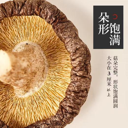 【绿色认证产地直供】干香菇250g/袋、500g/袋 商品图5