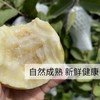 广西芭乐#软糯香甜，热量低，减体孕妈可吃，290项农残检测达标，红白双色，赠酸梅粉，#红心芭乐预计9月中开卖 商品缩略图2