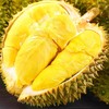 【江浙沪顺丰包邮】泰国金枕榴莲买一送一两只装，死包烂包包赔（4.4-5.5斤） 商品缩略图2
