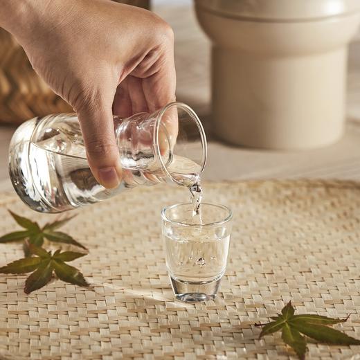 IKEA 宜家 HUMLAFISK 哈姆拉菲斯 玻璃酒瓶 透明玻璃 14 厘升 商品图3