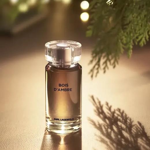 卡尔·拉格斐 琥珀 Karl Lagerfeld Bois d'Ambre 分装 商品图0