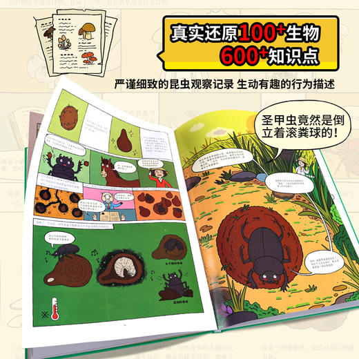 法布尔昆虫记 ：漫画版 商品图4