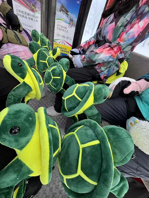 25/26雪季|吉林松花湖（单双板）滑雪训练营，成人及青少年均可报名！ 商品图2