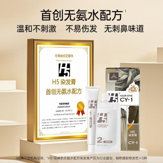 H5染发膏无氨水配方彩染 商品图1