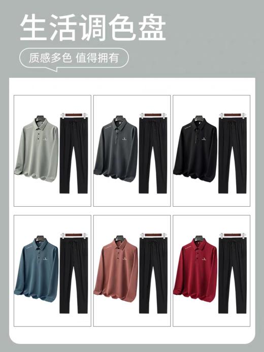 啄木鸟 2025春秋季新款长袖polo衫长裤休闲运动套装中老年爸爸装 商品图2
