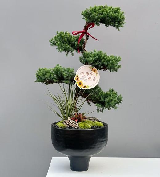 步步高升五层松塔 商品图1