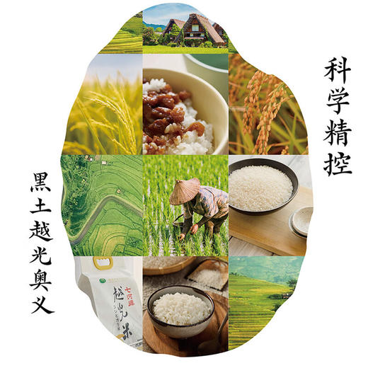 七河源越光米10斤 （吉野家专供大米） 商品图3
