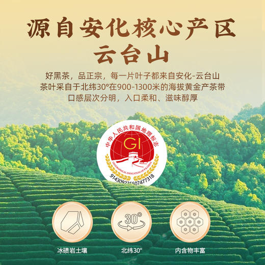 【安化黑茶】茶马世家丨天尖茶 安化黑茶 2015年 散茶 200g 商品图2
