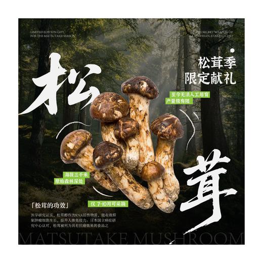 云南航食 松茸 商品图0