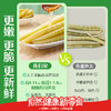 良品铺子泡椒竹笋尖酸笋脆笋干笋条开袋即食解馋小包装休闲零食600g 商品缩略图1
