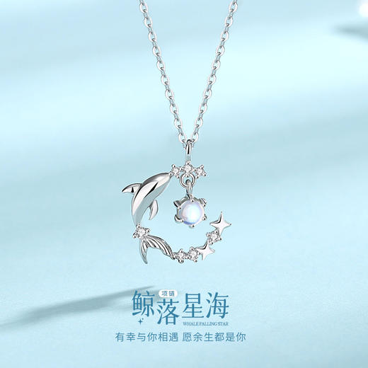 卡蒂罗KADER 鲸落星海项链 森系气质简约小众浪漫高级感 925银 光面立体年年有余鲸鱼四芒星月亮灵动极光幻彩锁骨链 项链 女款 银色 礼盒款 商品图1