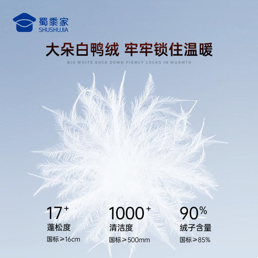 【实付满399送保温杯】【隐藏款多功能羽绒马甲】防水防污通勤马甲白鸭绒无袖羽绒外套BZ504 商品图2