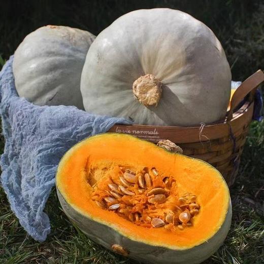 银栗南瓜 农家自种小南瓜 新鲜现摘 粉糯香甜 商品图0